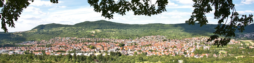 Dettingen vom Calverbühl aus